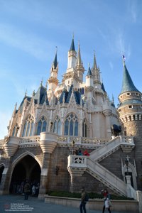 20180107141126_NIKON D7100.jpg